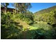 Wilsons Creek NSW 2482