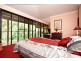Wilsons Creek NSW 2482