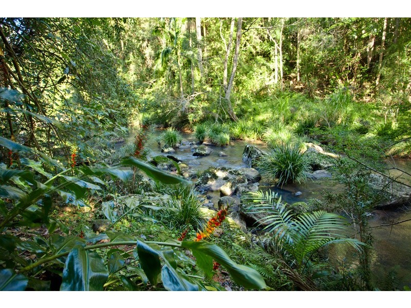 Wilsons Creek NSW 2482