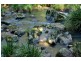 Wilsons Creek NSW 2482