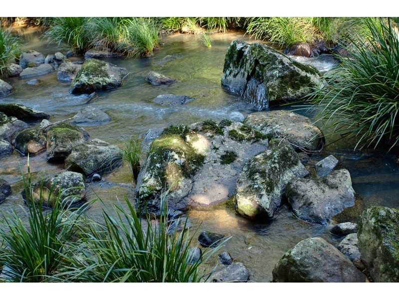 Wilsons Creek NSW 2482