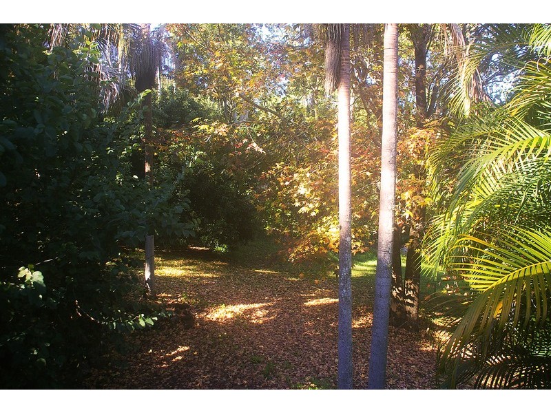 395 Fernleigh Road, Fernleigh NSW 2479