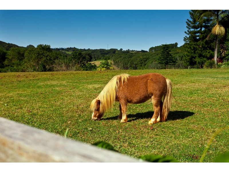 Alstonville NSW 2477