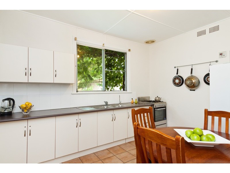 17 Ducros Street, Petersham NSW 2049