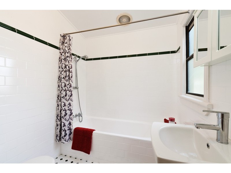 17 Ducros Street, Petersham NSW 2049