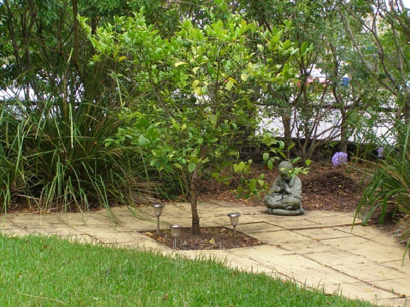 2/18 Liverpool Road, Croydon NSW 2132