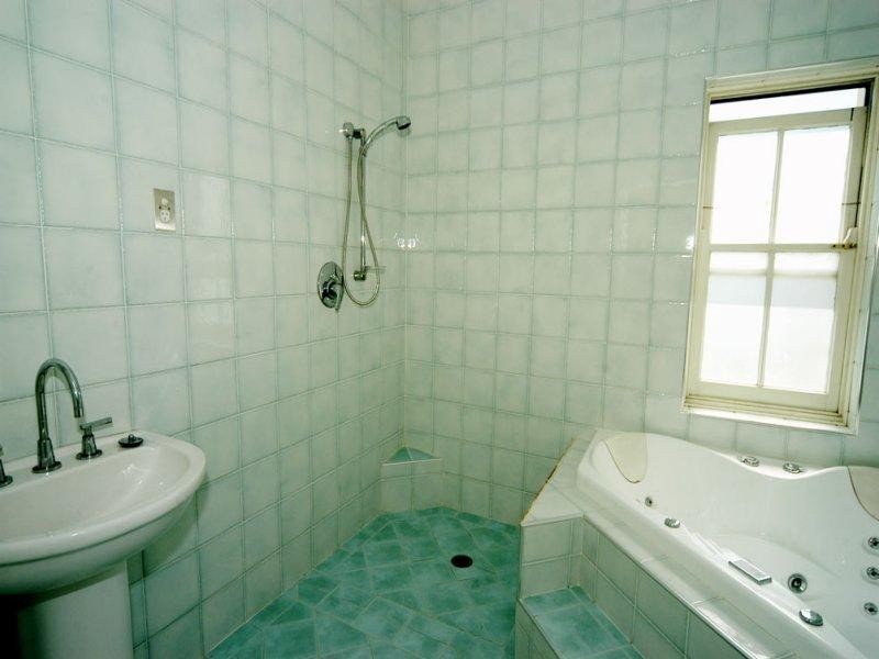 46 Crystal Street, Petersham NSW 2049