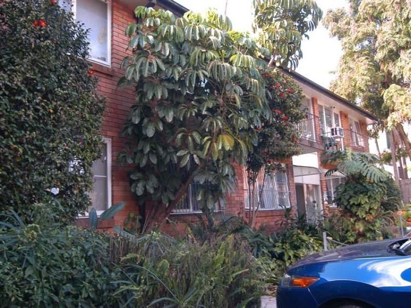 2/377 New Canterbury Rd, Dulwich Hill NSW 2203