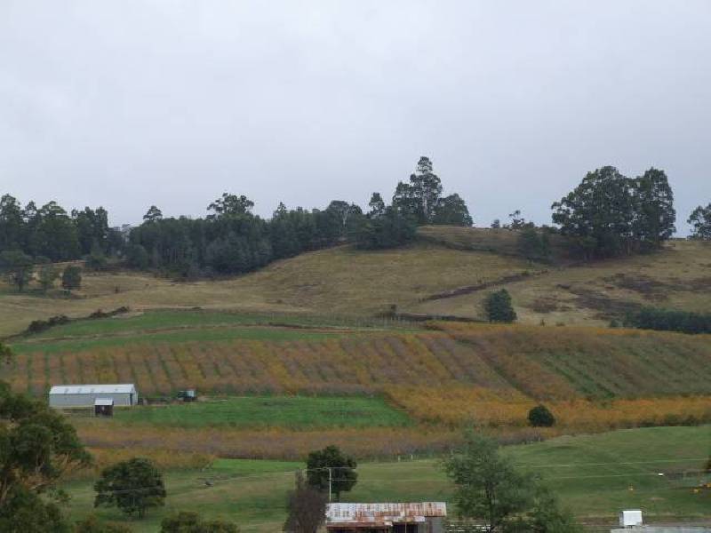 Geeveston TAS 7116