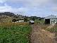 Geeveston TAS 7116