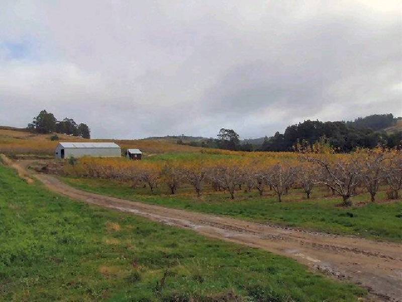 Geeveston TAS 7116