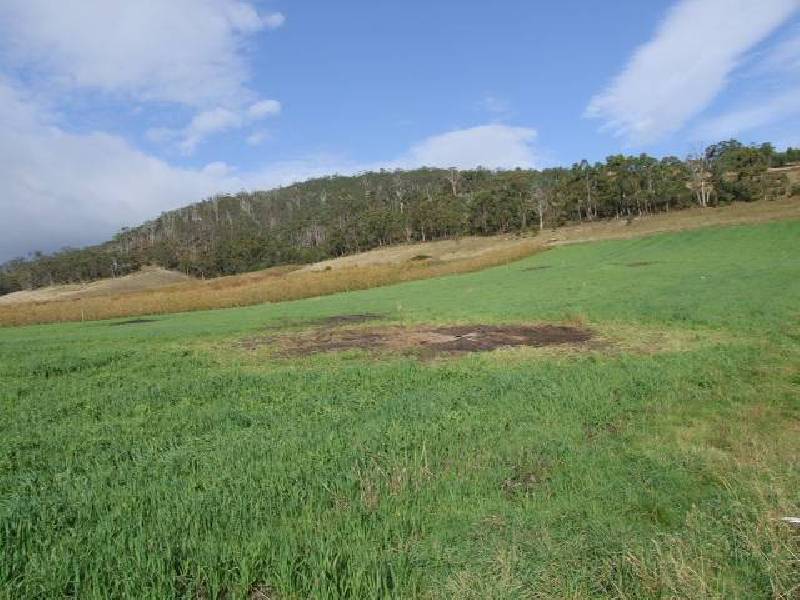 Geeveston TAS 7116
