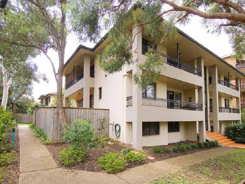 Montrose Road, Abbotsford NSW 2046