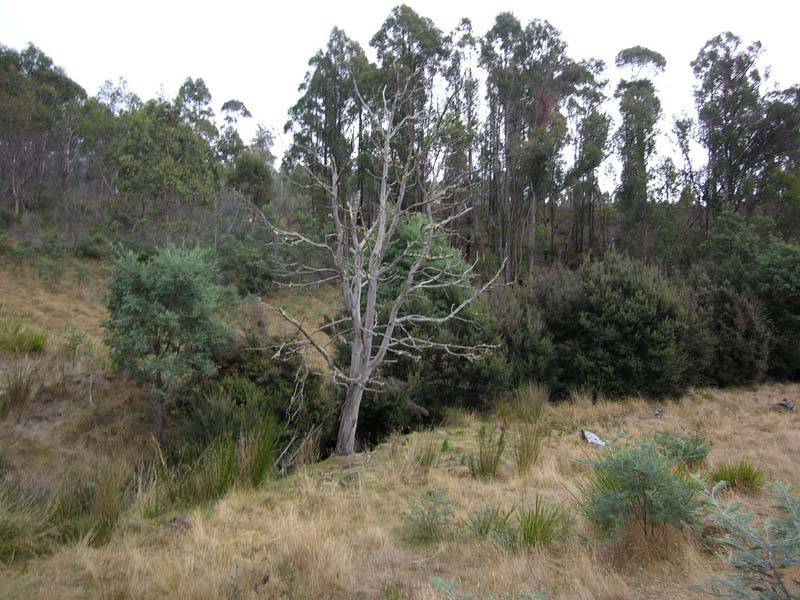 Uxbridge Road, Uxbridge TAS 7140