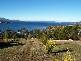 Bernacchi Drive, Orford TAS 7190
