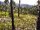 Hoods Road, Spring Beach TAS 7190