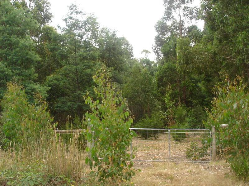 Brookland Avenue, Acacia Hills TAS 7306
