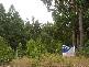 Brookland Avenue, Acacia Hills TAS 7306