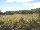 Tugrah Road, Devonport TAS 7310