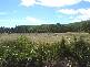 Tugrah Road, Devonport TAS 7310