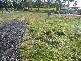 Tugrah Road, Devonport TAS 7310