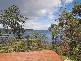 CHANNEL HIGHWAY, Charlotte Cove TAS 7112