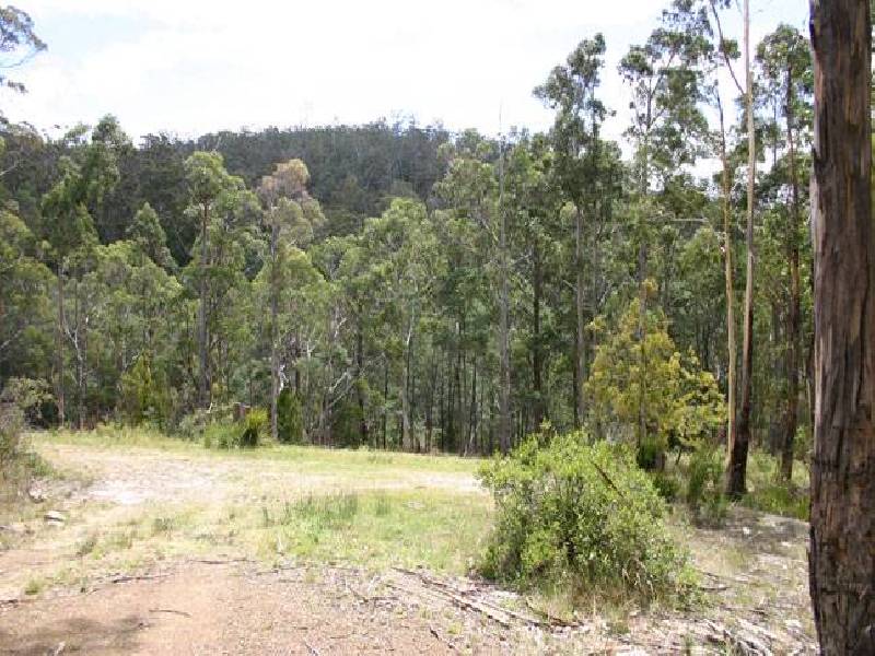 SNUG TIERS ROAD, Snug TAS 7054