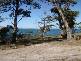 Bernacchi Drive, Orford TAS 7190