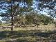 Bernacchi Drive, Orford TAS 7190