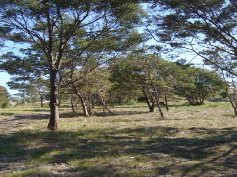 Bernacchi Drive, Orford TAS 7190