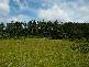 Gordon River Road, Tyenna TAS 7140