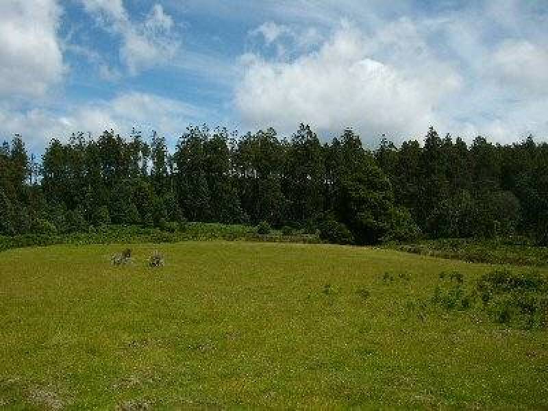 Gordon River Road, Tyenna TAS 7140