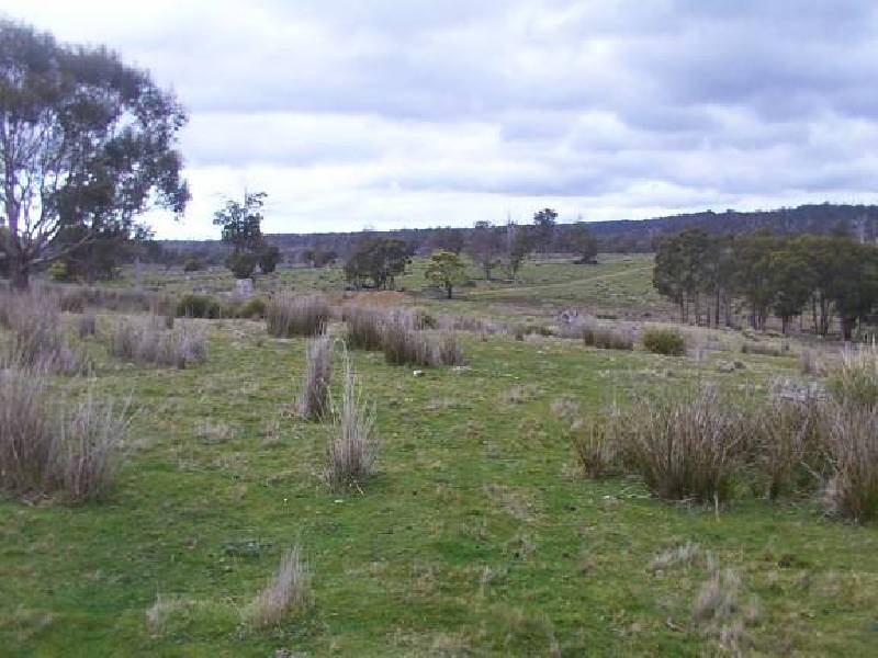 Pine Hills, Swanston TAS 7120