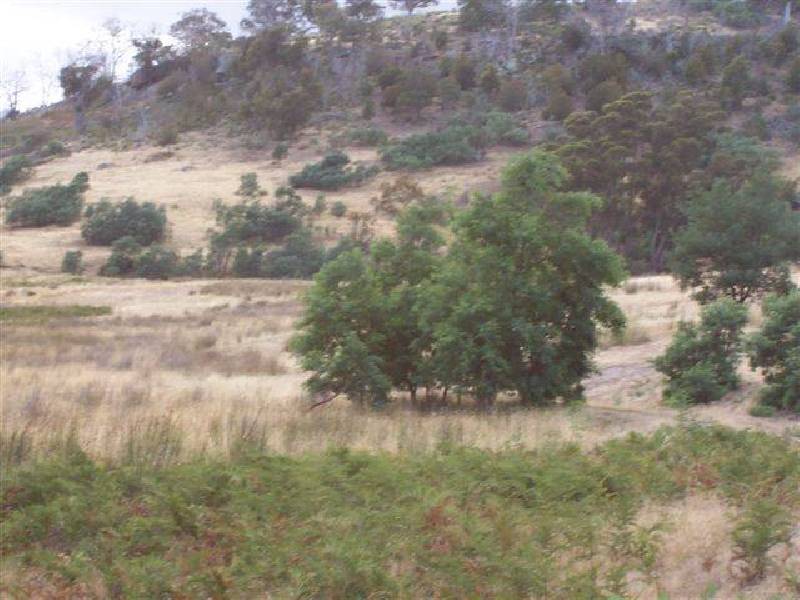 Yarlington Rd, Colebrook TAS 7027