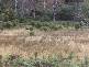 Yarlington Rd, Colebrook TAS 7027