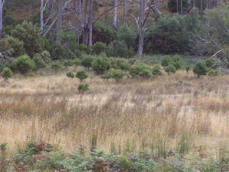 Yarlington Rd, Colebrook TAS 7027