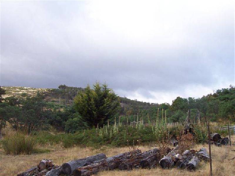 Yarlington Rd, Colebrook TAS 7027