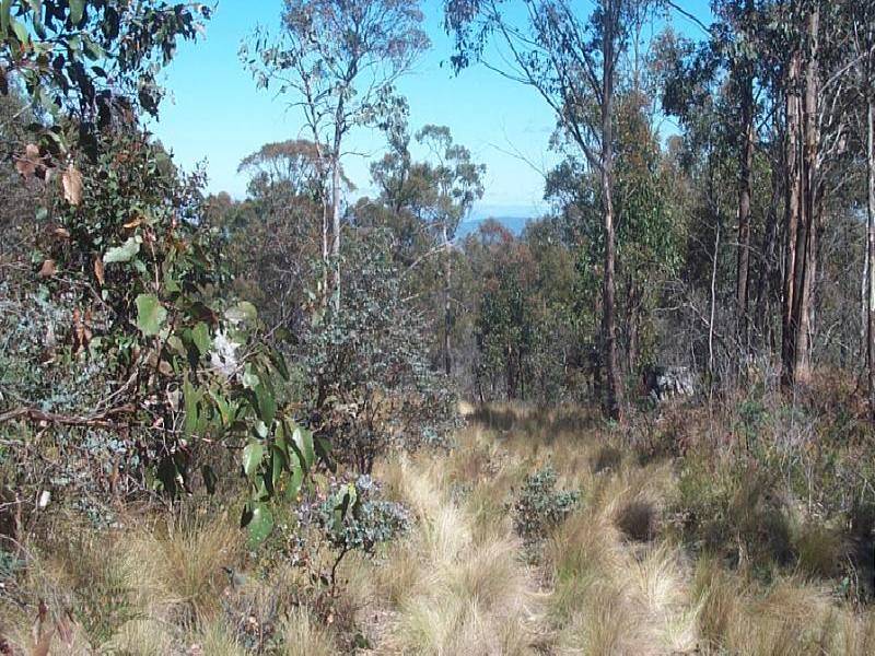 Quoin Rd, Kempton TAS 7030