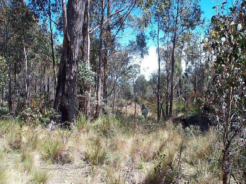 Quoin Rd, Kempton TAS 7030