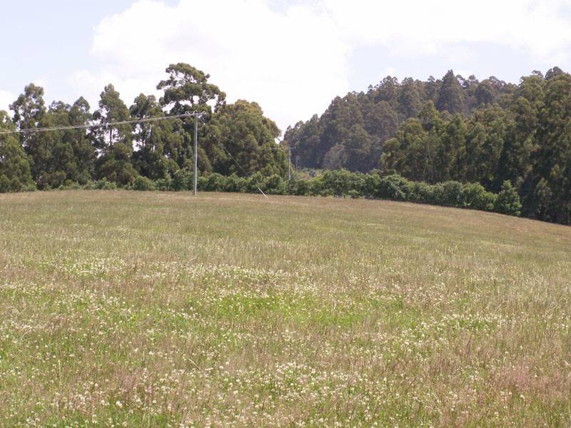 Jacksons Road, Franklin TAS 7113