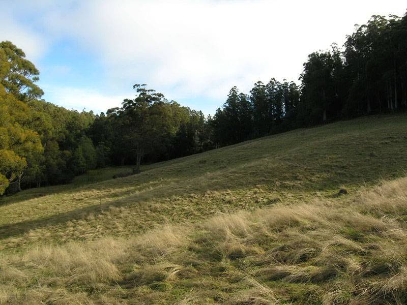 Cradoc Hill Road, Cradoc TAS 7109