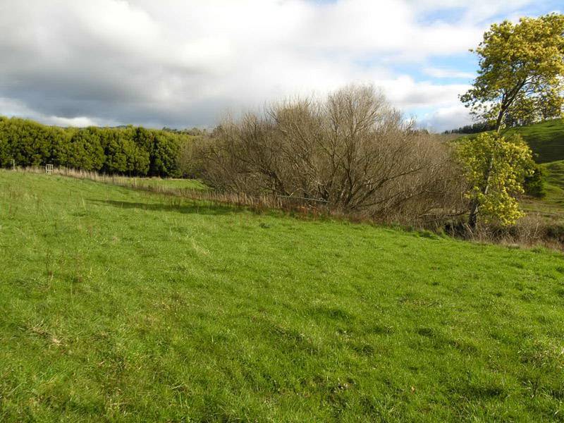 Donnellys Road, Geeveston TAS 7116