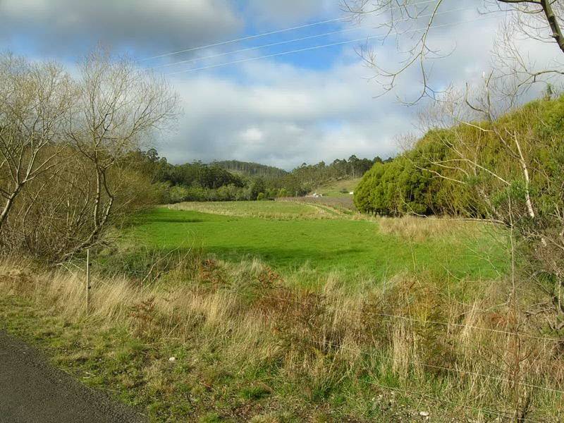 Donnellys Road, Geeveston TAS 7116