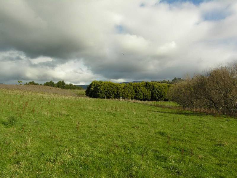 Donnellys Road, Geeveston TAS 7116