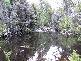 Huon Highway, Strathblane TAS 7109