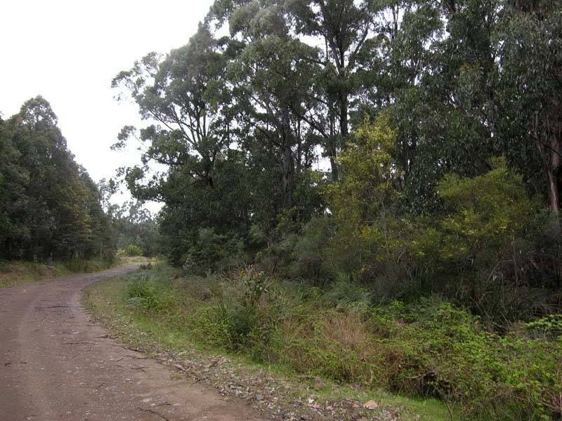 Huon Highway, Strathblane TAS 7109