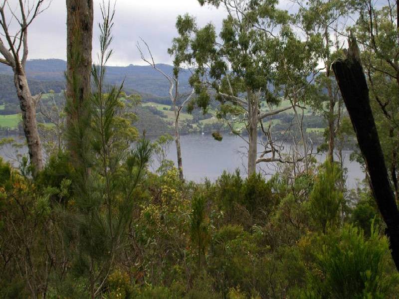 Cygnet Coast Road, Petcheys Bay TAS 7109