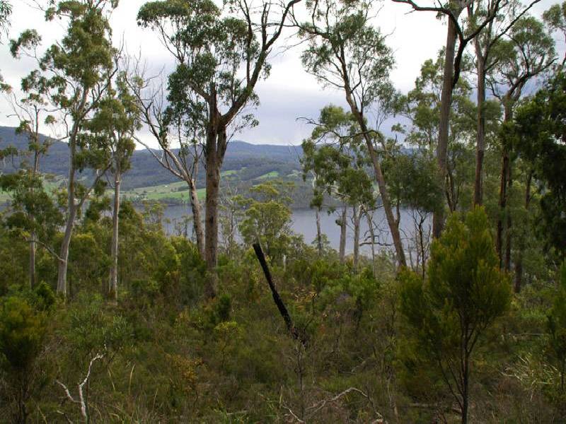 Cygnet Coast Road, Petcheys Bay TAS 7109