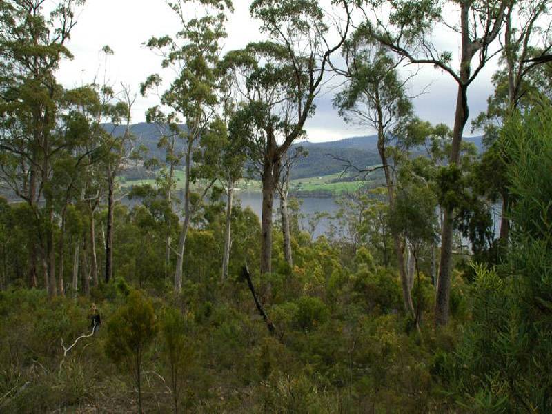 Cygnet Coast Road, Petcheys Bay TAS 7109
