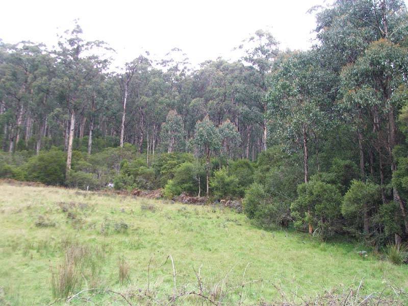 Lonnavale Road, Lonnavale TAS 7109